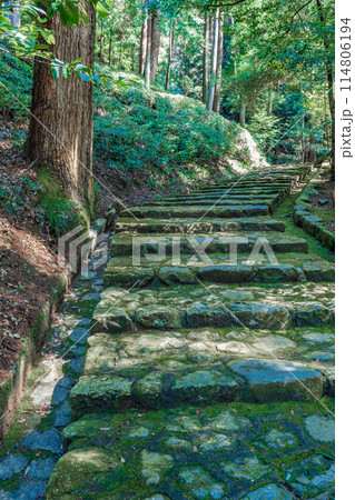 大阪府河内長野市 第九十七代後村上天皇 檜尾陵の参道 大阪府河内長野市 第九十七代後村上天皇 檜尾陵の参道 114806194