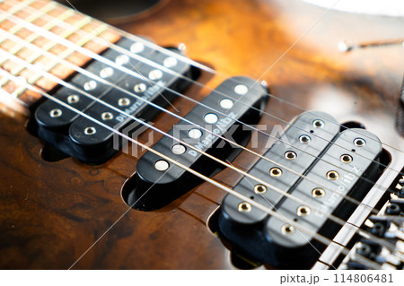 Electric guitar bridge, strings and pickup, detail close-up view of guitar pickup in wood walnut 114806481