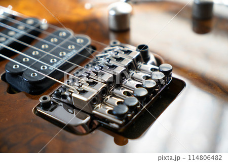 Electric guitar bridge, strings and pickup, detail close-up view of guitar pickup in wood walnut Electric guitar bridge, strings and pickup, detail close-up view of guitar pickup in wood walnut 114806482