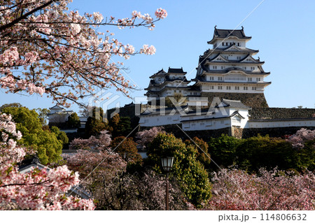 日本の城 姫路城 満開の桜に彩られた春の景観 日本の城 姫路城 満開の桜に彩られた春の景観 114806632