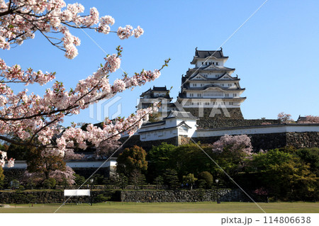 日本の城 姫路城 満開の桜に彩られた春の景観 日本の城 姫路城 満開の桜に彩られた春の景観 114806638