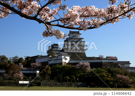 日本の城　姫路城　満開の桜に彩られた春の景観 114806642