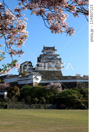 日本の城　姫路城　三の丸広場からの景観 114807123