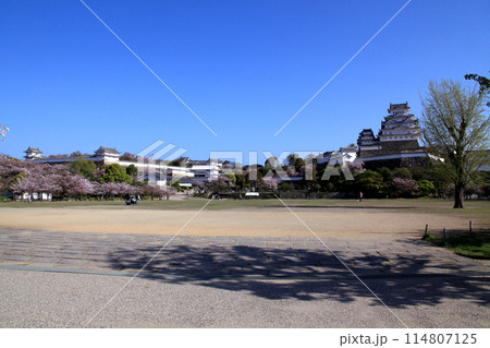 日本の城　姫路城　三の丸広場からの景観 114807125