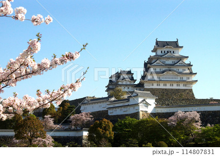 日本の城　姫路城　三の丸広場からの景観 114807831