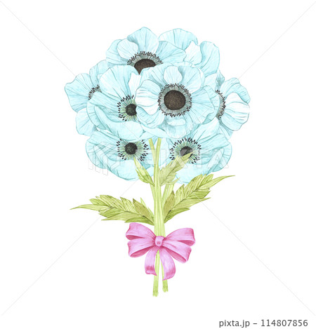 Hand drawn watercolor blue anemone flowers bouquet with a pink bow isolated on white background. Can be used for post card, poster and other printed products. Hand drawn watercolor blue anemone flowers bouquet with a pink bow isolated on white background. Can be used for post card, poster and other printed products. 114807856