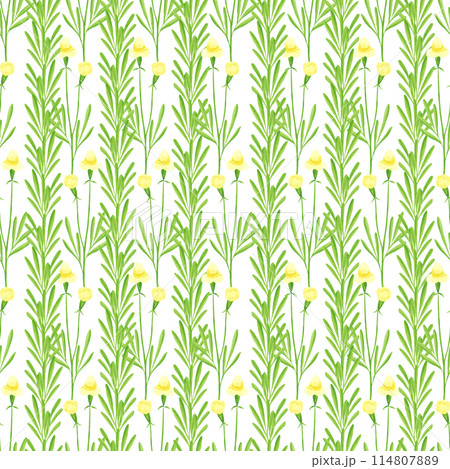 Hand drawn watercolor yellow wildflowers seamless pattern isolated on white background. Can be used for fabric, wrapping, textile and other printed products. 114807889