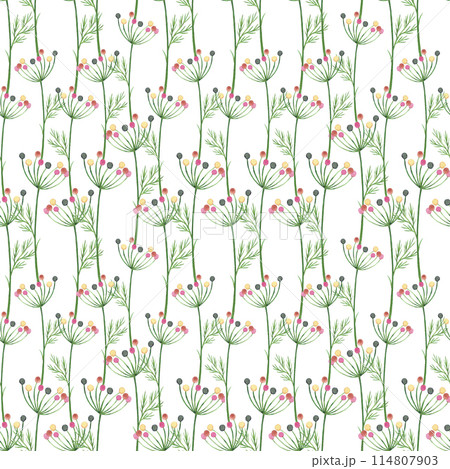 Hand drawn watercolor wildflowers seamless pattern isolated on white background. Can be used for fabric, wrapping, textile and other printed products. 114807903