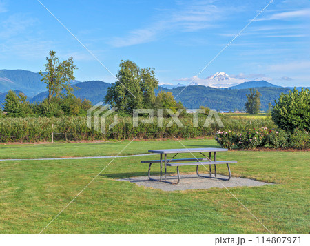 Recreational area with a table and benches on farmland overlooking Mount Baker 114807971