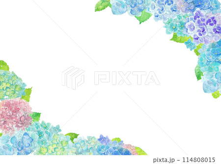 水彩絵の具で描いた6月のあじさい背景 114808015