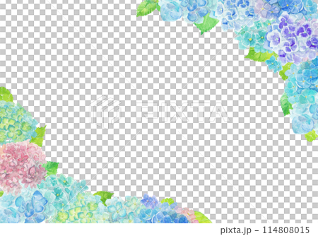 水彩絵の具で描いた6月のあじさい背景 114808015