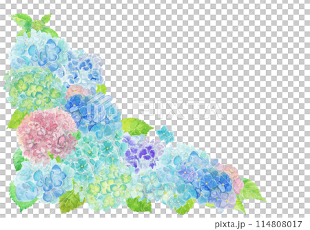 水彩絵の具で描いた6月のあじさい背景 114808017