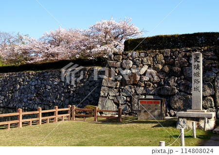 日本の城 姫路城 満開の桜に彩られた春の景観 日本の城 姫路城 満開の桜に彩られた春の景観 114808024
