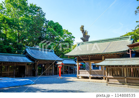初夏の宗像大社 中津宮　大島　福岡県宗像市 114808535