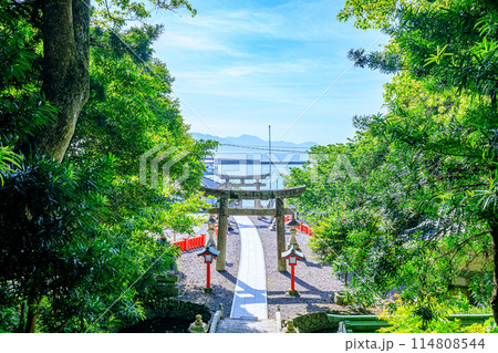 初夏の宗像大社 中津宮　大島　福岡県宗像市 114808544