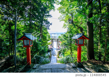 初夏の宗像大社 中津宮　大島　福岡県宗像市 114808545