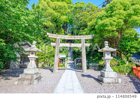 初夏の宗像大社 中津宮 大島 福岡県宗像市 初夏の宗像大社 中津宮 大島 福岡県宗像市 114808549