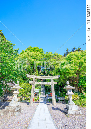 初夏の宗像大社 中津宮 大島 福岡県宗像市 初夏の宗像大社 中津宮 大島 福岡県宗像市 114808550
