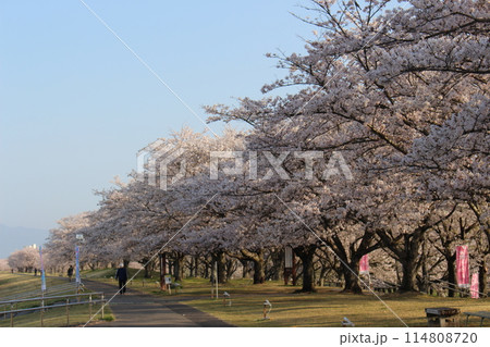 勝山城 勝山城 114808720