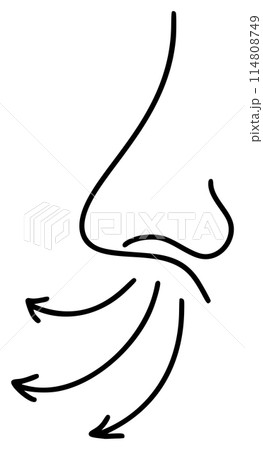 Human runny nose in profile line simple minimalist exhalation icon. Element for design packaging and advertising of rhinitis medical, cold, flu symptoms Human runny nose in profile line simple minimalist exhalation icon. Element for design packaging and advertising of rhinitis medical, cold, flu symptoms 114808749