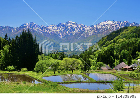 青鬼集落・棚田・北アルプス（長野県・白馬村） 114808908