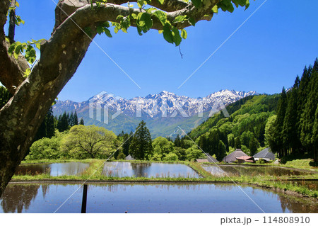 青鬼集落・棚田・北アルプス(長野県・白馬村) 青鬼集落・棚田・北アルプス(長野県・白馬村) 114808910
