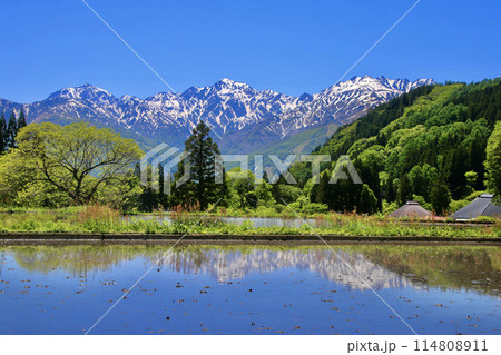 青鬼集落・棚田・北アルプス（長野県・白馬村） 114808911