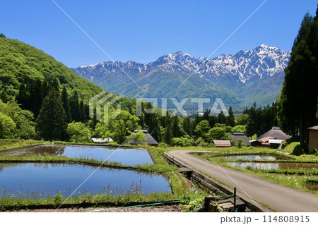 青鬼集落・棚田・北アルプス（長野県・白馬村） 114808915