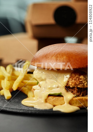 Chicken burger with cheese sauce, fried onions and fries Chicken burger with cheese sauce, fried onions and fries 114808922