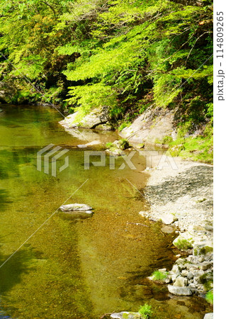 みたらい渓谷(奈良県吉野郡天川村) みたらい渓谷(奈良県吉野郡天川村) 114809265