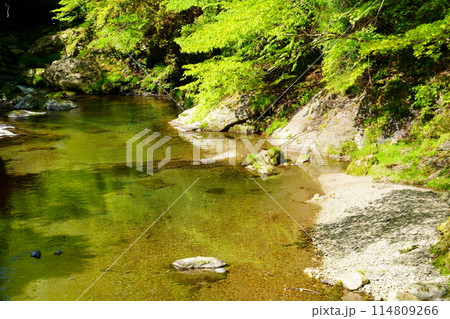 みたらい渓谷(奈良県吉野郡天川村) みたらい渓谷(奈良県吉野郡天川村) 114809266