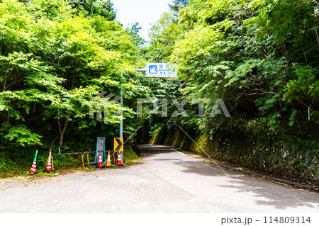 夏の黒森峠　愛媛県東温市・上浮穴郡久万高原町 114809314