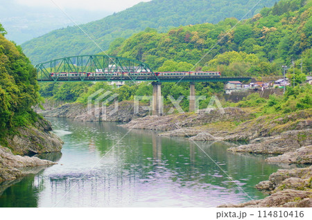 第一吉野川橋りょうを渡る2700系・南風 114810416