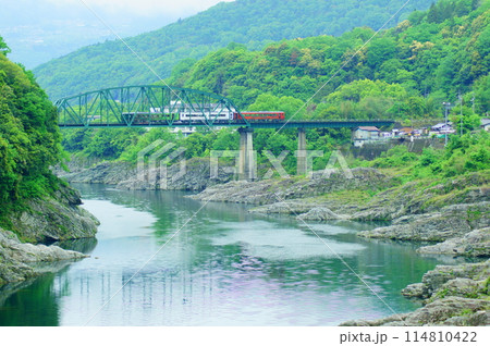 曇天の徳島を走る特急四国まんなか千年ものがたりと鉄橋 114810422