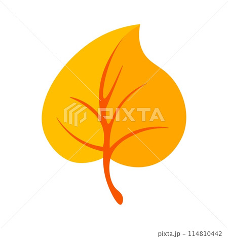 Yellow leaf on white background 114810442