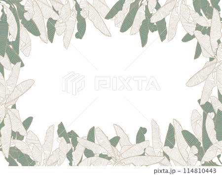 Tropical line art leaves frame, banana leaf vector background 114810443