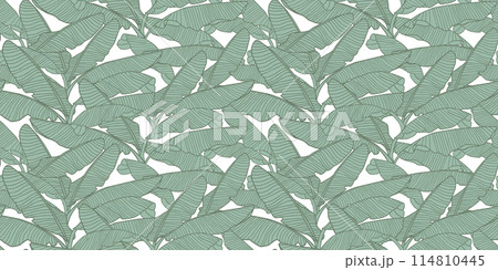 Tropical leaves seamless pattern, banana leaf vector background 114810445