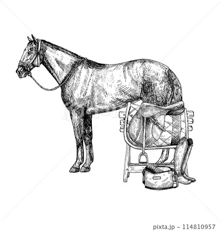 Graphic vector illustration of horse, saddle on wooden stand. Boot, bag. Hand painting. Horse equipment, for horse sport, riding 114810957