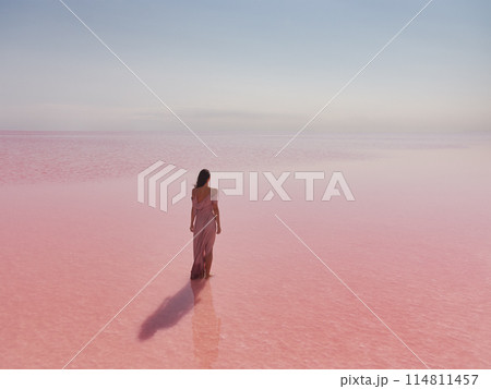 Romantic Young Woman in Pink Long Dress in Water on Pink Salt Lake 114811457