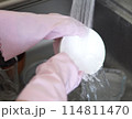 皿を洗う女性,食器洗いをする女性の手元 114811470