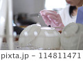 皿を洗う女性・食器洗いをする女性の手元・食器を取り出す女性 114811471