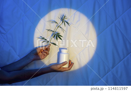 hand delicately holds herb stem next to medicine bottle, reflecting the serene and balanced approach of herbal healing, blue background hand delicately holds herb stem next to medicine bottle, reflecting the serene and balanced approach of herbal healing, blue background 114811597