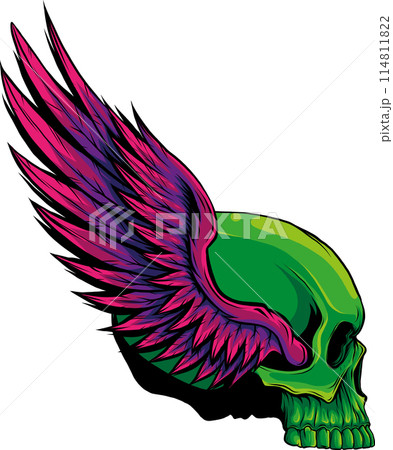 vector illustration of human skull digital draw vector illustration of human skull digital draw 114811822