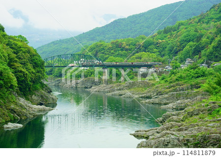 新緑の吉野川橋りょうを走る2700系・特急南風 114811879