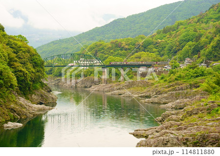 吉野川の風景と特急南風（2700系） 114811880