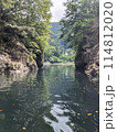 清流に浮かぶ紅葉 114812020