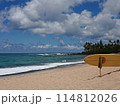 美しい海とビーチ 114812026