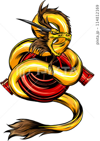 draw of colored dragon vector illustration design 114812169