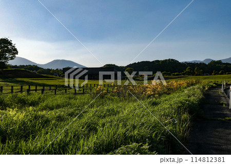 岩手県小岩井農場の初夏の風景　ツツジと小岩井農場の牧草地 114812381