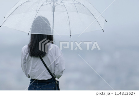 雨の中、傘をさす女性 雨の中、傘をさす女性 114812627
